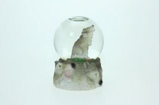 Obrázek z Sněžítko vlk 6,5cm(6) 
